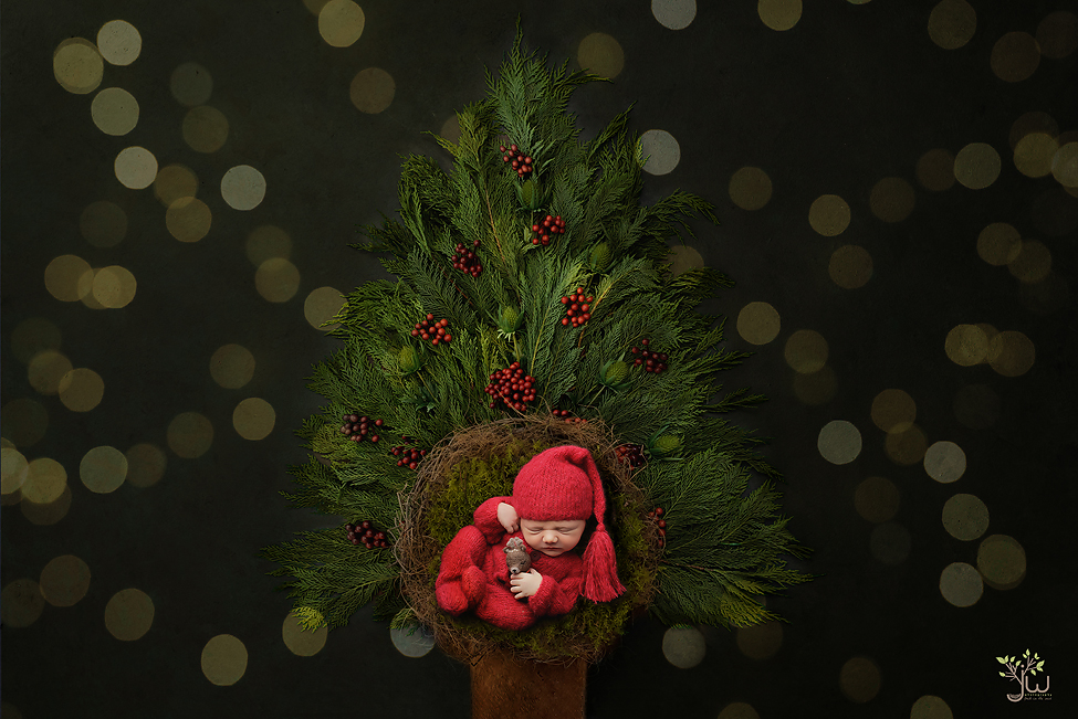 Best Tacoma baby photographer